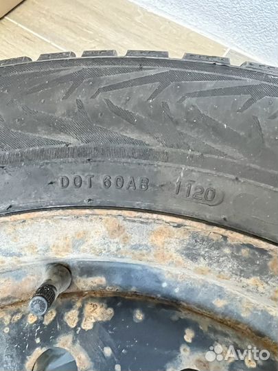 Nokian Tyres Nordman 7 205/65 R16 99T