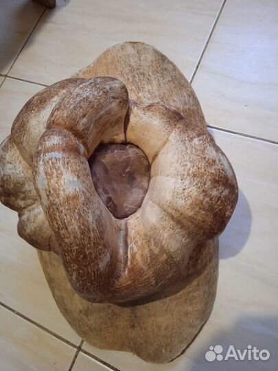 Продам кап берёзовый