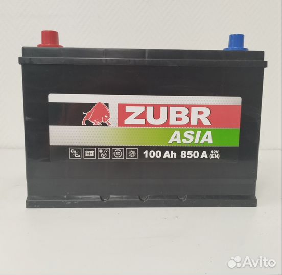 Zubr Asia 100Ач 850. Магазин. Гарантия