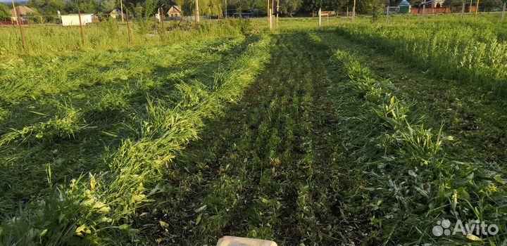 Сено в рулонах 2023