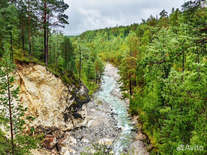 Иркутск Топ-Экскурсия Из Иркутска в Аршан: горы, в