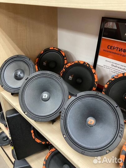 Динамики широкополосные эстрадные мидбас DL Audio