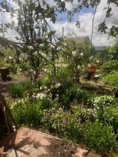 Дача 30 м² на участке 5 сот.