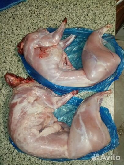 Мясо кролика