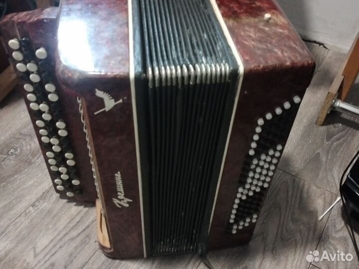 Баян