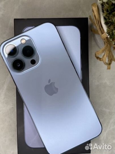 iPhone 13 pro