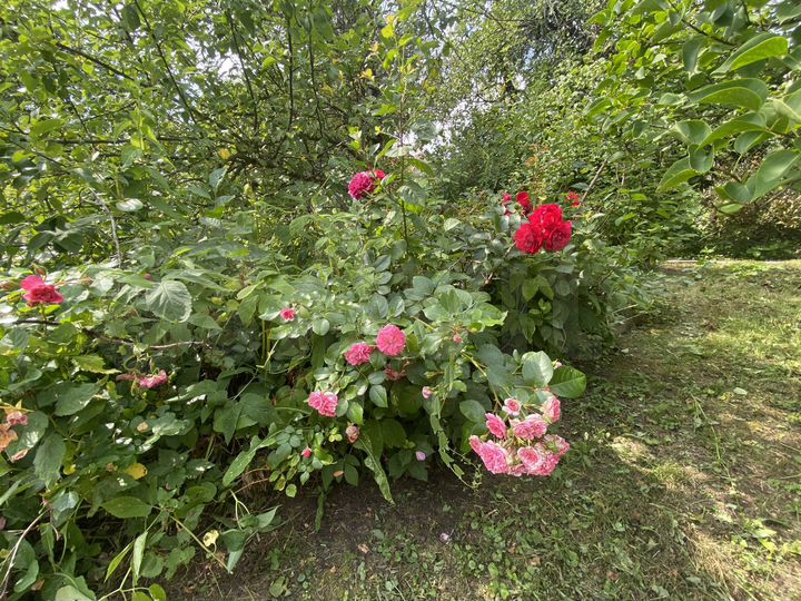 Дача 66 м² на участке 9,6 сот.