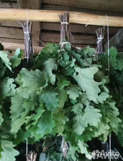 Берёзовые,дубовые веники