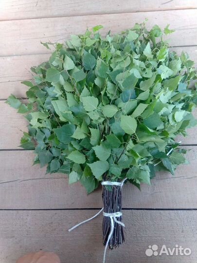 Банные веники