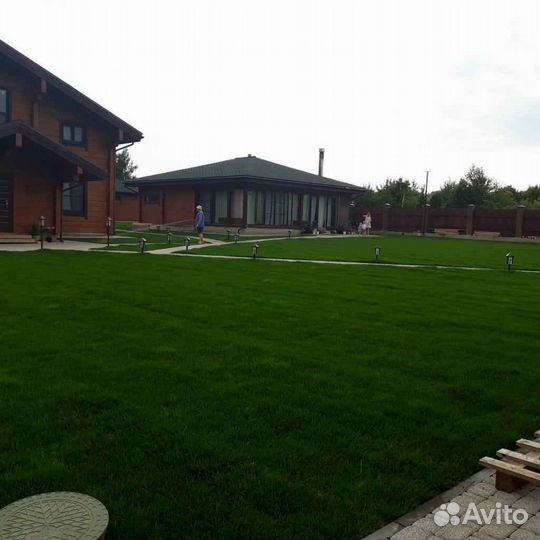 Рулонный газон, укладка, продажа