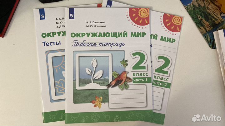 Рабочая тетрадь 2кл Школа России Перспектива