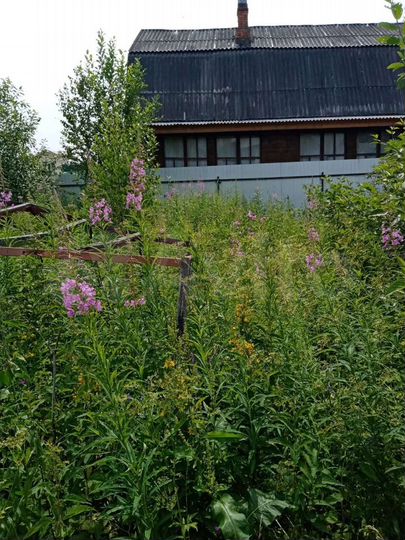 Участок 6 сот. (СНТ, ДНП)