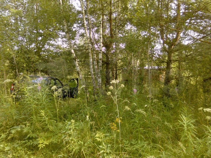 Участок 6 сот. (СНТ, ДНП)