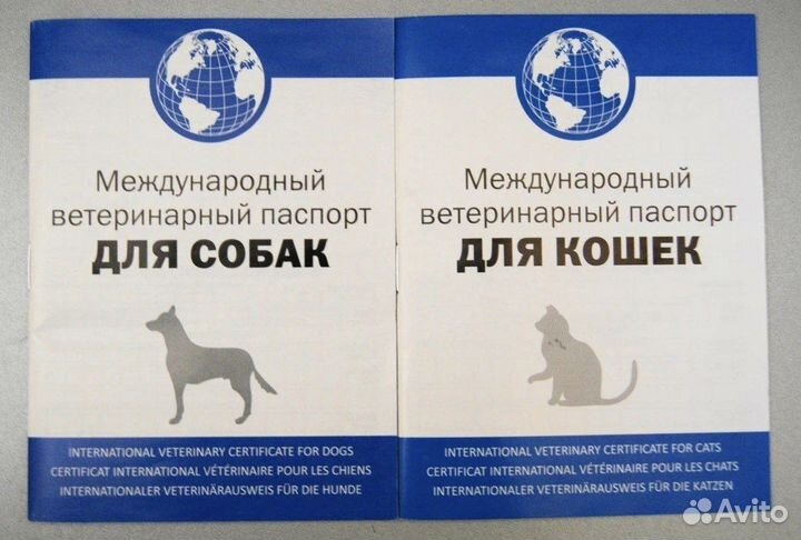 Справки для животных на выезд,вет паспорт,титры