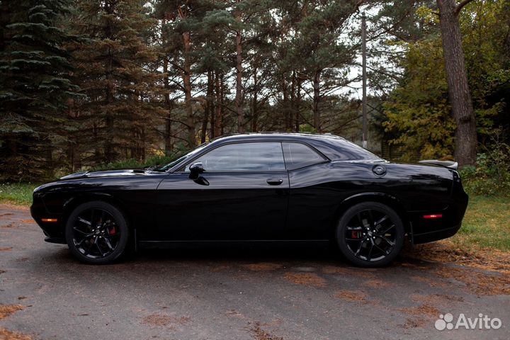 Dodge Challenger 3.6 AT, 2020, 61 500 км