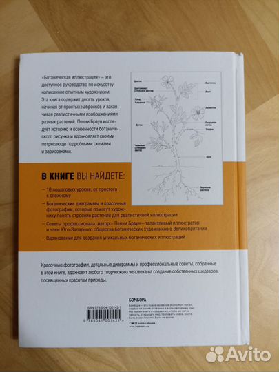 Ботаническая иллюстрация. Пенни Браун