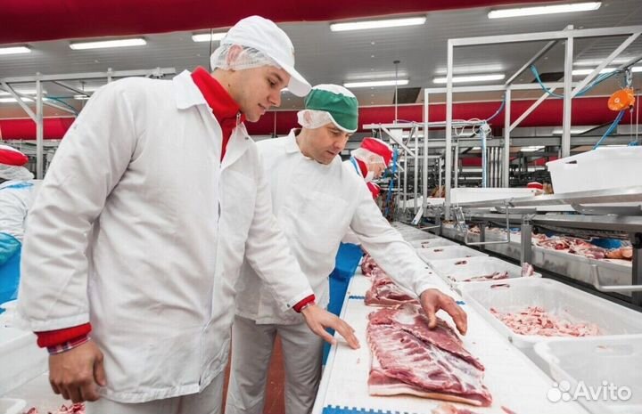 Работа разнорабочим на мясокомбинате(Вахта)