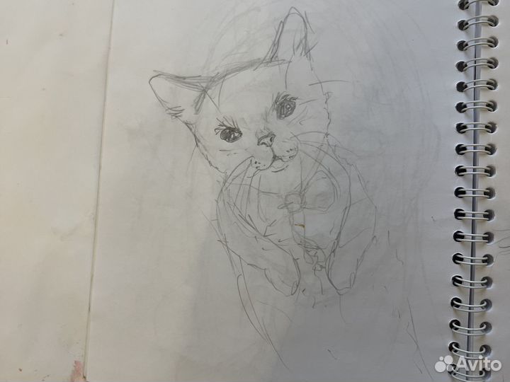 Рисую на заказ