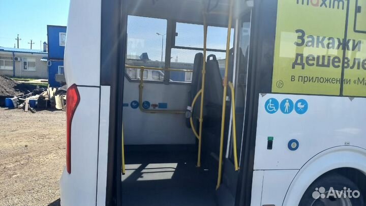Городской автобус ПАЗ Вектор Next 7.6, 2022