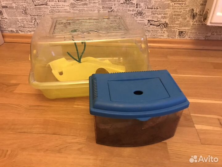 Улитка Ахатина и 2 террариума