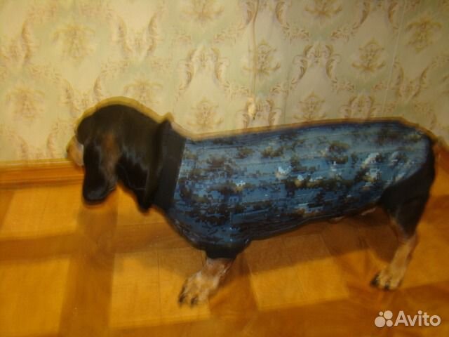 Корсет, бандаж, шейный корсет для собак и кошек