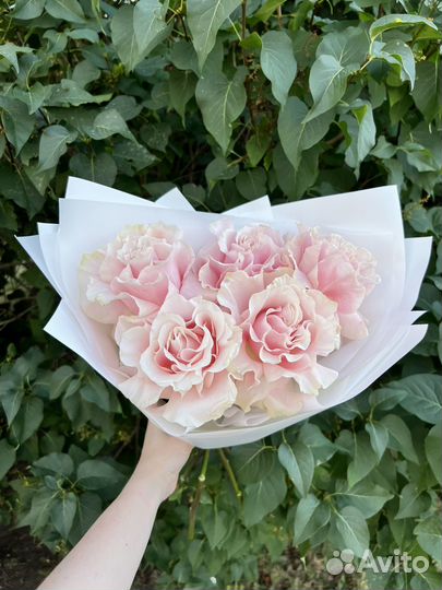 Розы букеты доставка