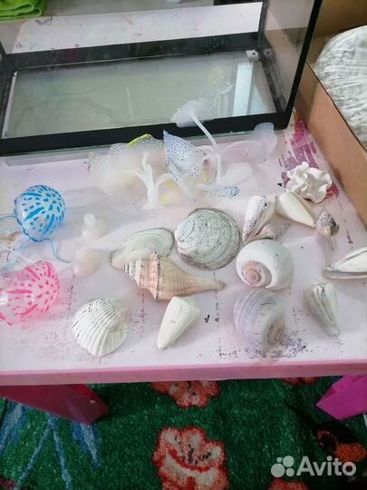 Коряга, грунт