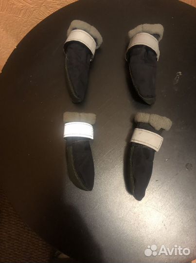 Сапожки на собаку