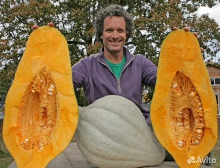 Тыква Дюшес семена