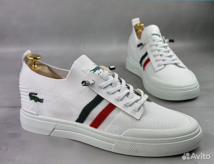 Мужские кеды Lacoste