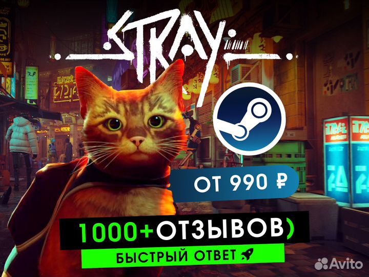 Stray Steam Россия / Турция