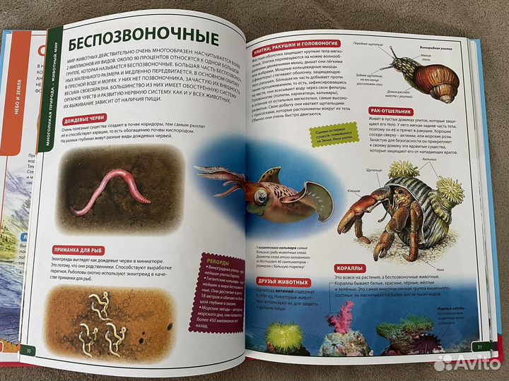 Детская энциклопедия