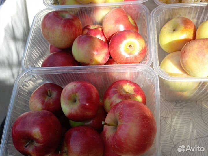 Яблоки домашние