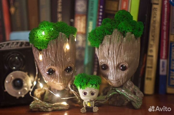 Кашпо с мхом