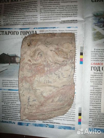 Капанина немецкая