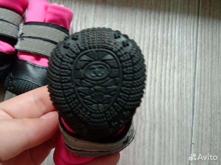 Сапожки для собак