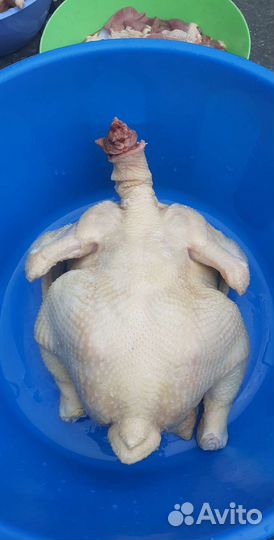 Мясо домашнего бройлера
