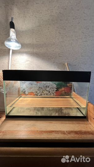Аквариум для рыбок / черепах