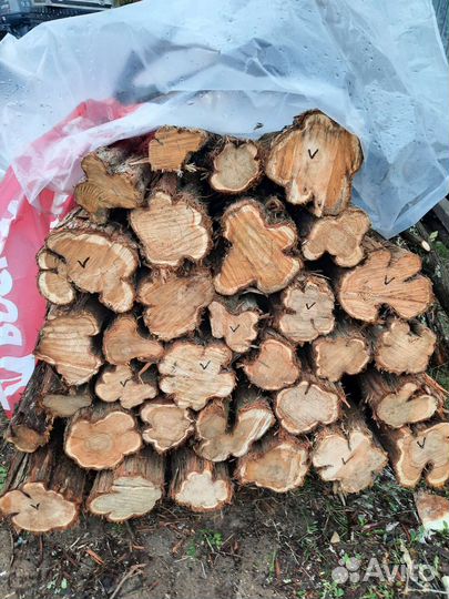 Можжевельник обыкновенный