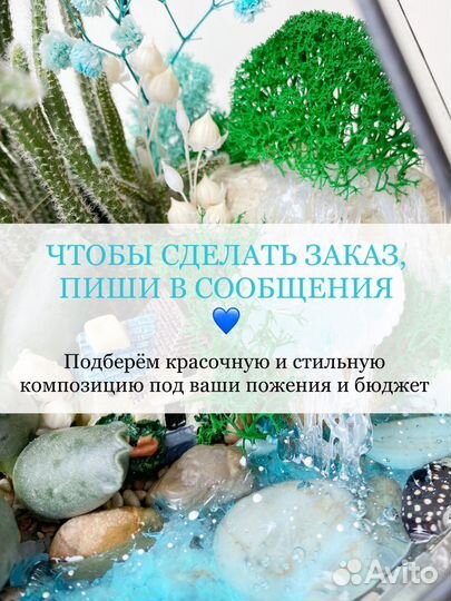 Флорариум, подарок, цветы на 1 сентября