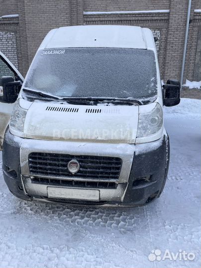 Чехлы для fiat ducato 250