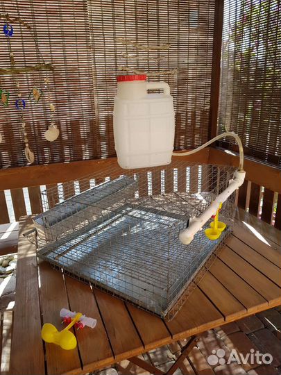 Клетка для перепелов