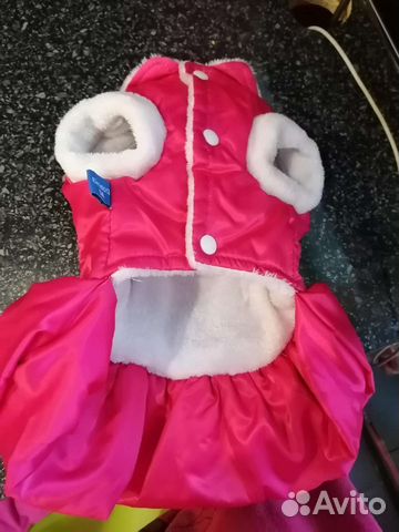 Костюмы для собачки, +шлейка