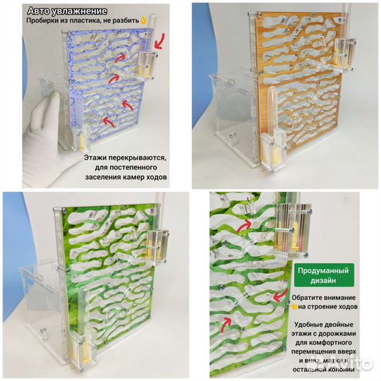 Муравьи Жнецы, Муравьиные фермы,есть Доставка