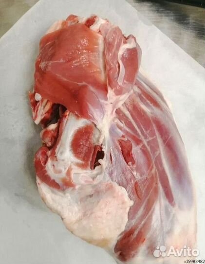 Мясо баранина от производителя