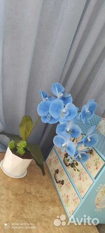 Орхидея искусственная реал тач