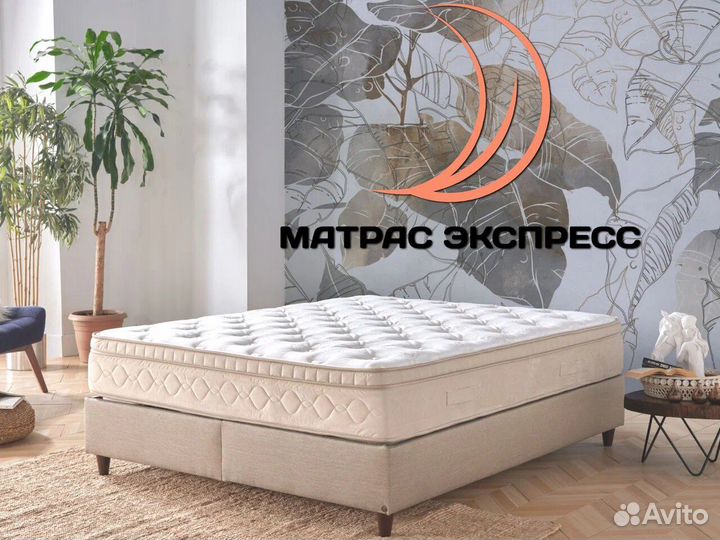 Ок Базис Хард 60х200