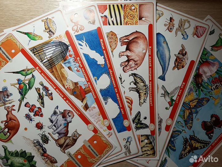 Электровикторина