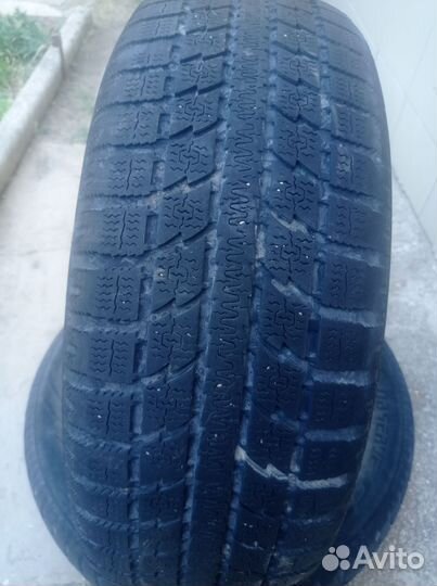 Toyo Winter Tranpath MS 195/65 R15 91Q