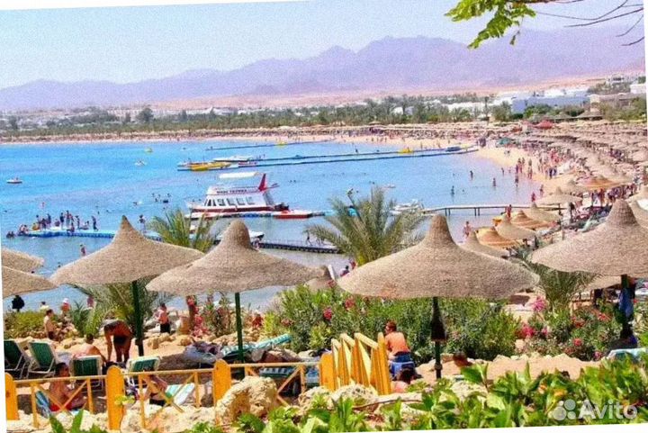 Турпоездка в Египет, Наама Бей на 7 нч все вкл